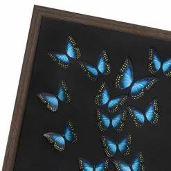 CUADRO MARIETA MARIPOSAS 55X55CM -Tienda De Decoración cuadro marieta 3d mariposas 55cm 3