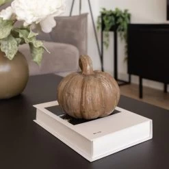 FIGURA CALABAZA ESTEVO PLATA 15CM 10 FIGURA CALABAZA ESTEVO PLATA 15CM -Tienda De Decoración figura calabaza estevo 15cm 2