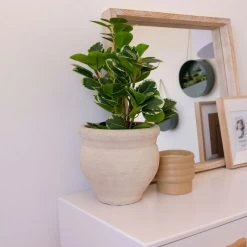 MACETERO ARIS ARCILLA 25X24CM -Tienda De Decoración macetero aris arcilla 25x24cm 3