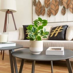 MACETERO CALEB CERÁMICA -Tienda De Decoración macetero caleb ceramica 2