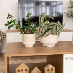 MACETERO CALEB CERÁMICA -Tienda De Decoración macetero caleb ceramica 4