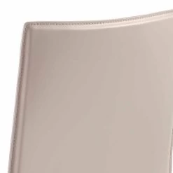 Diseño Moderno Que Vive La Silla H88,5cm Hecho En Italia Carly -Tienda De Decoración sedia living di moderno design h88 5cm made in italy carly 3