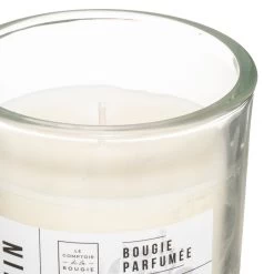 VELA PERFUMADA KAROI BLANCA 10CM -Tienda De Decoración vela perfumada karoi 4 aromas 4